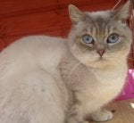 S7300908 breeze.jpg