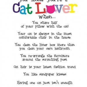 Cat Lover_092954